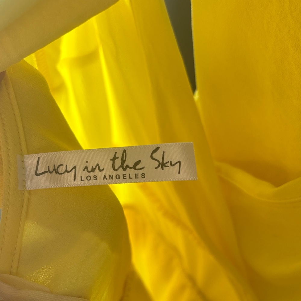 Yellow Ruffle Sleeve Dress - Picture 4 of 9